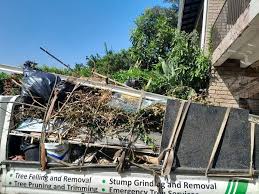 Best Shed Removal  in Shorewood, WI